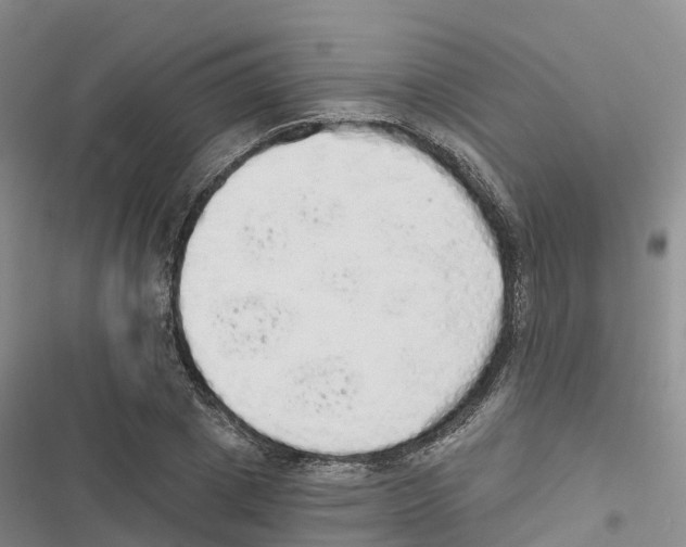 X0000116830833201001151224