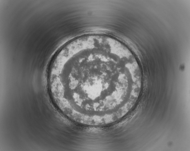 X0000116830835201001151224