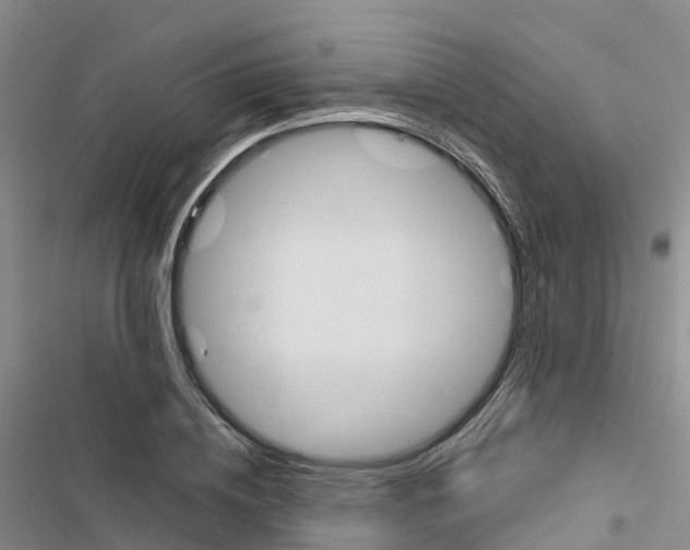 X0000116830836201001151224