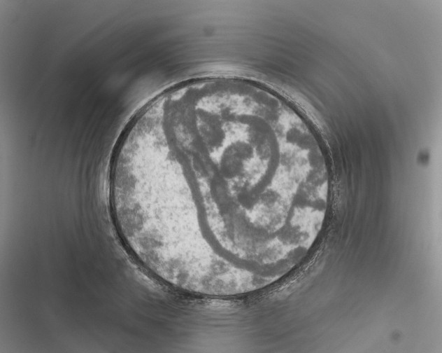 X0000116830839201001151224