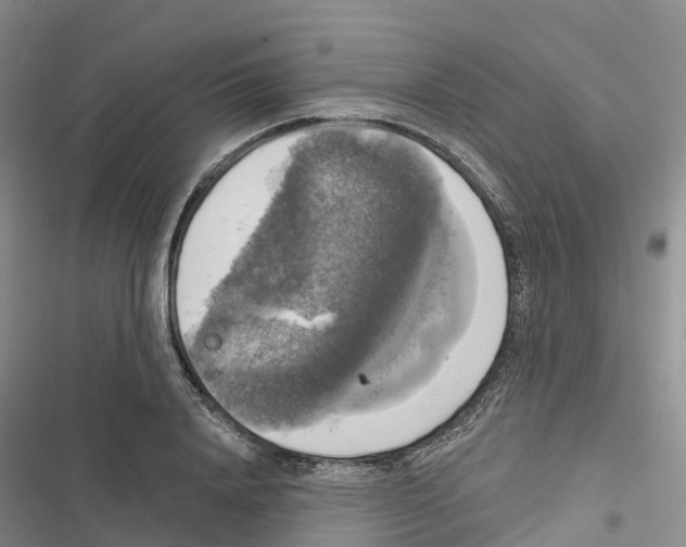 X0000116830840201001151224