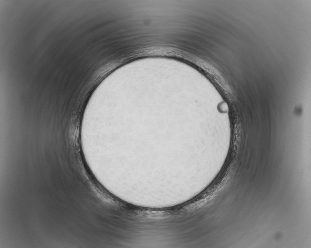 X0000116830841201001151224