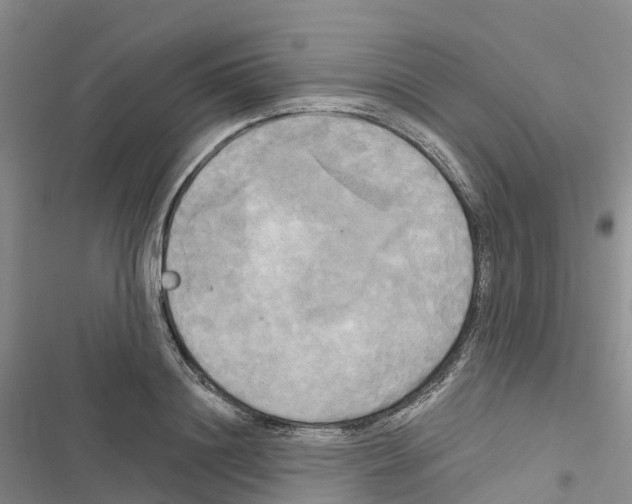 X0000116830844201001151224