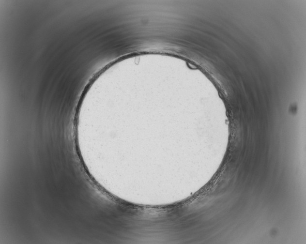 X0000116830848201001151225