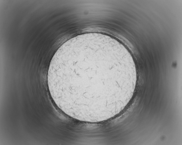 X0000116830849201001151225