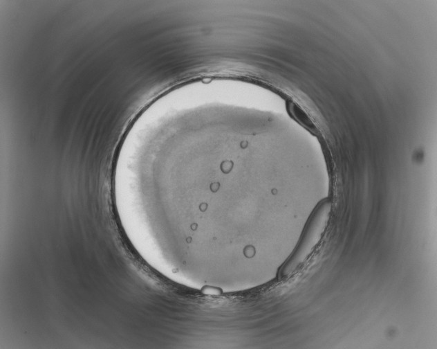 X0000116830850201001151225