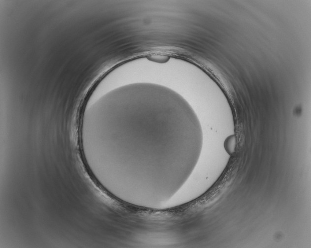 X0000116830851201001151225