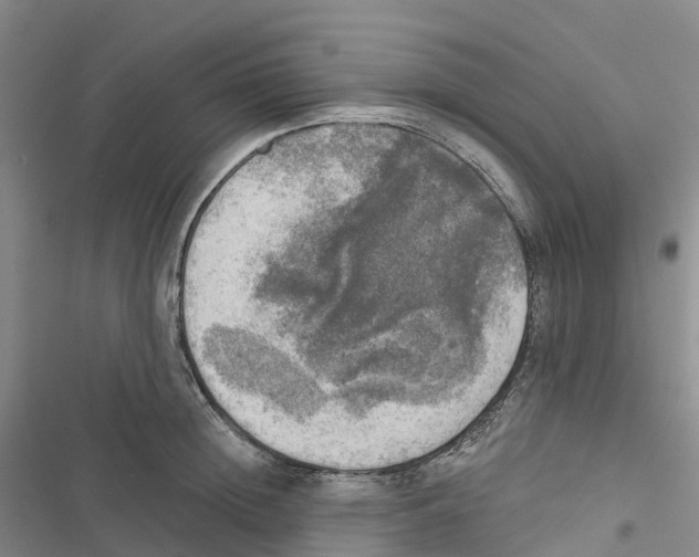 X0000116830852201001151225