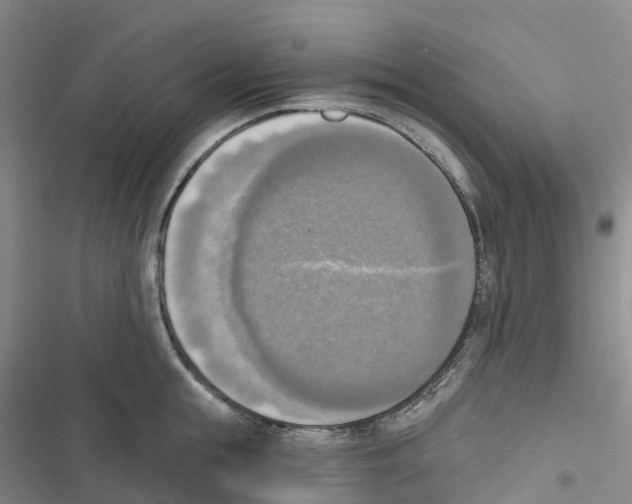 X0000116830855201001151225