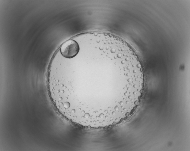 X0000116830856201001151225