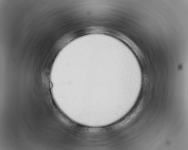 X0000116830857201001151225