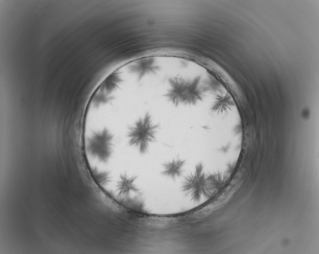 X0000116830860201001151225