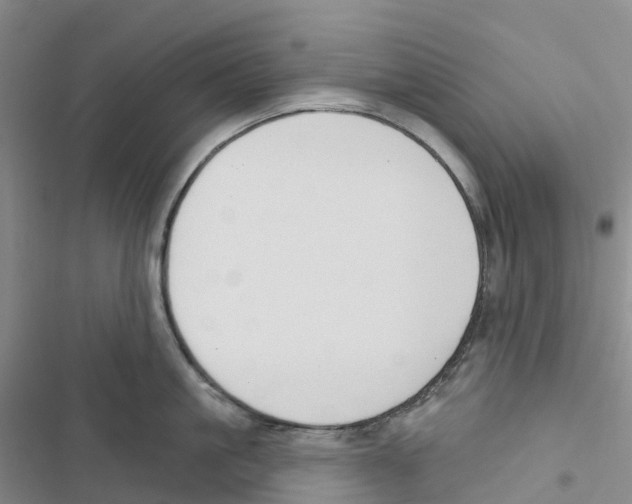 X0000116830861201001151225