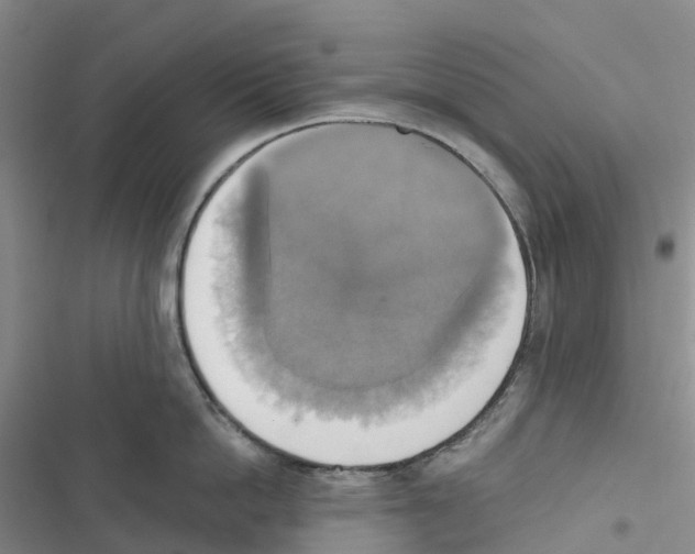 X0000116830862201001151225