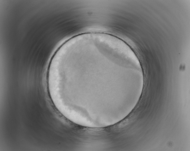 X0000116830864201001151225