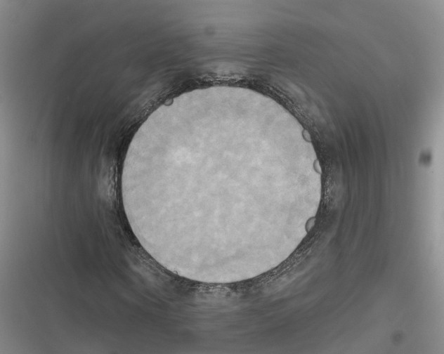 X0000116830866201001151224