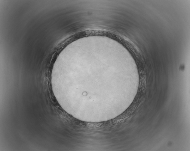 X0000116830870201001151224