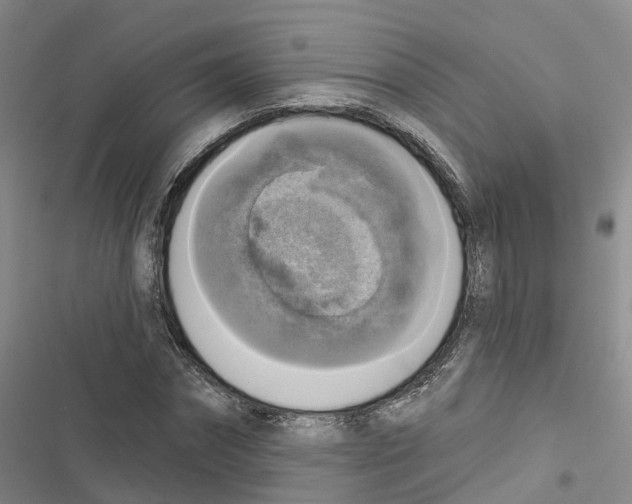 X0000116830874201001151224