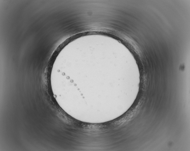 X0000116830875201001151224