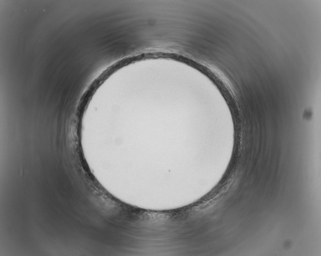 X0000116830878201001151224