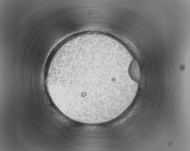 X0000116830880201001151224