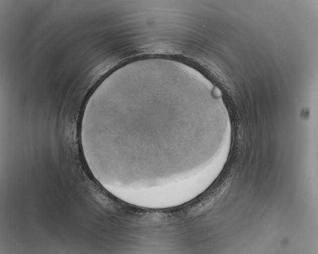 X0000116830881201001151224