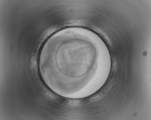 X0000116830882201001151224