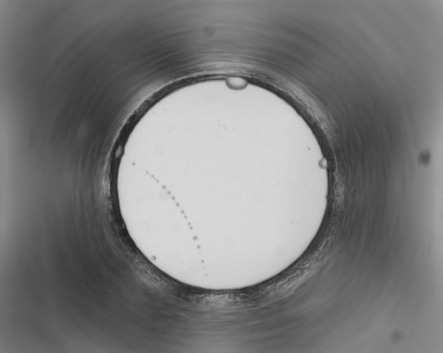 X0000116830883201001151224