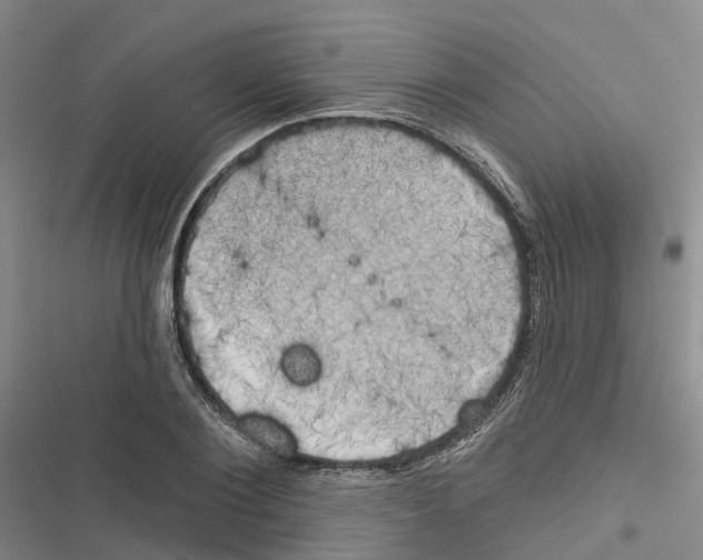 X0000116830884201001151224