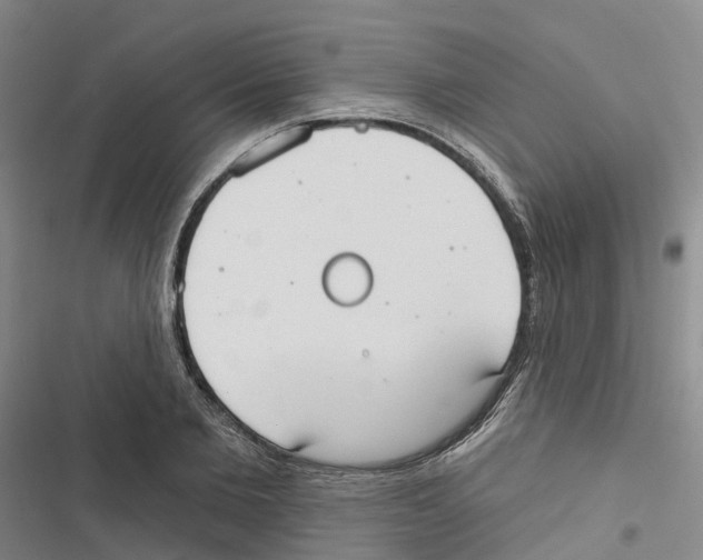 X0000116830885201001151224