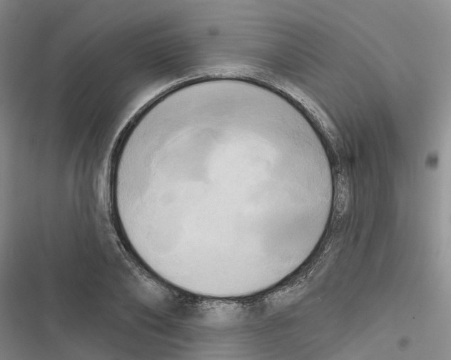 X0000116830886201001151224