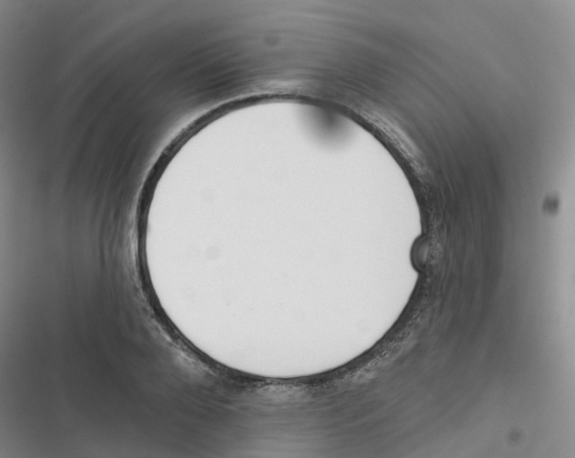 X0000116830888201001151224