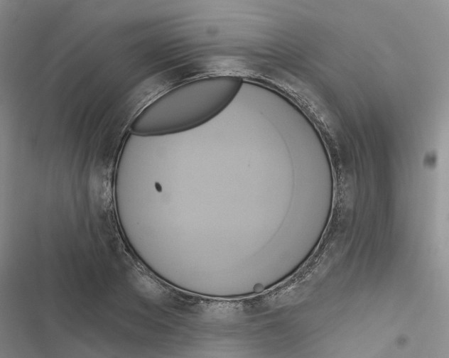 X0000116830889201001151224