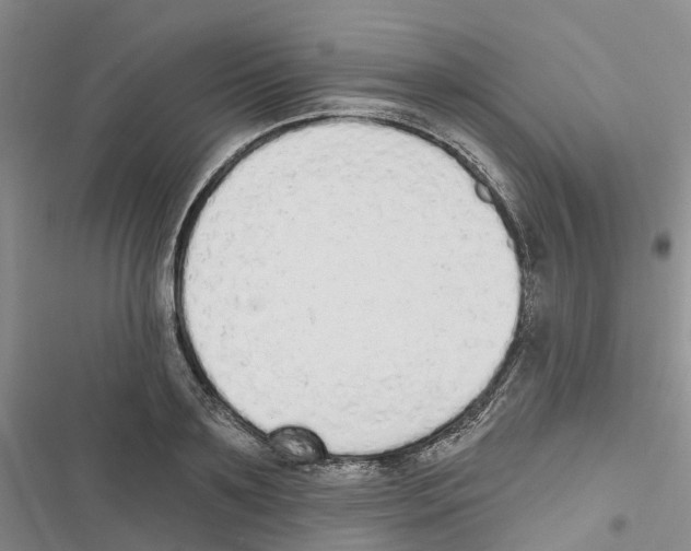 X0000116830891201001151224