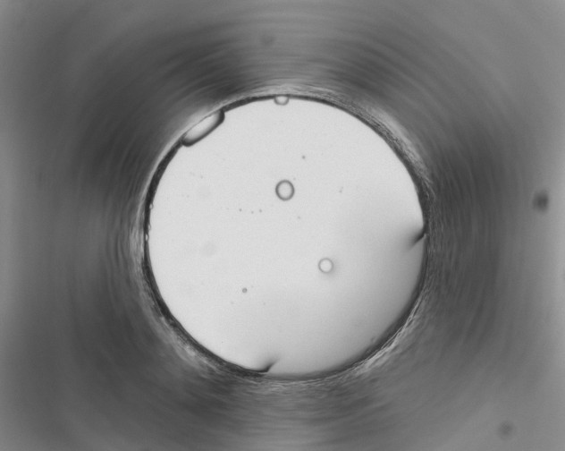 X0000116830892201001151224