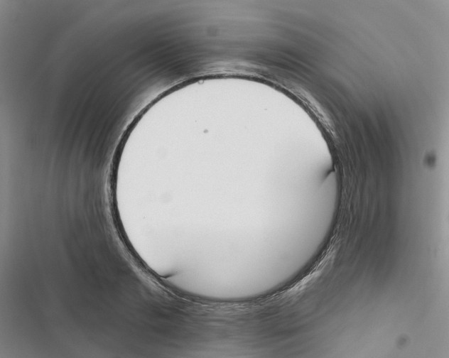 X0000116830893201001151224