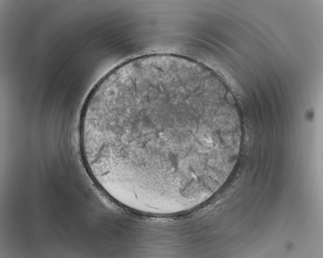 X0000116830894201001151224