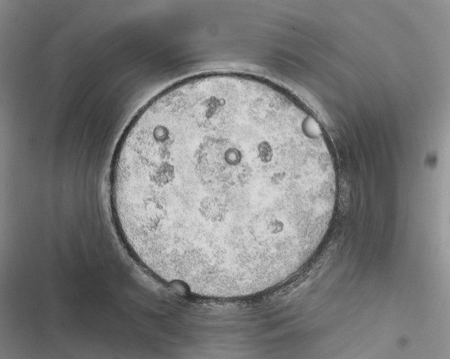 X0000116830895201001151224