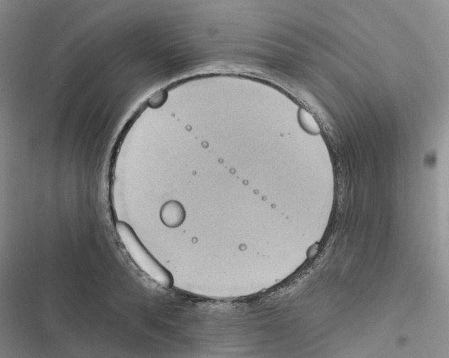 X0000116830896201001151224