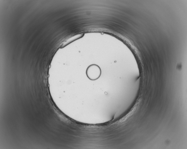 X0000116830897201001151224