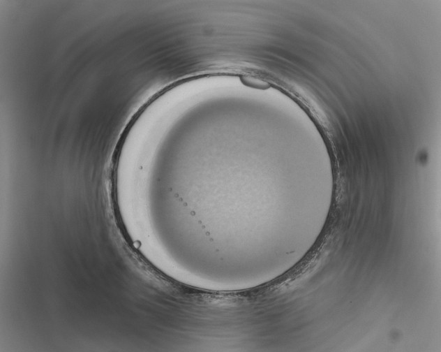 X0000116830899201001151224