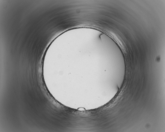 X0000116830900201001151224