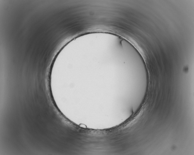 X0000116830901201001151224