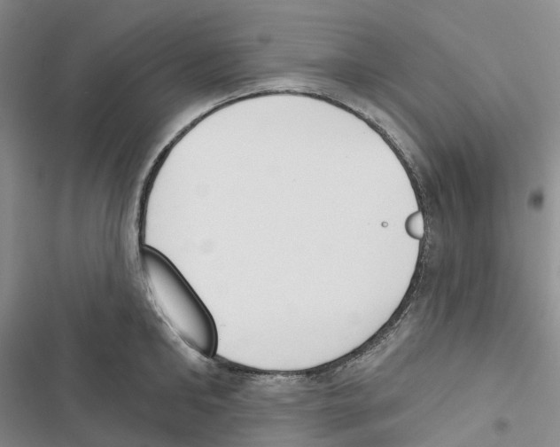 X0000116830902201001151224