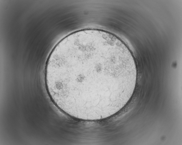 X0000116830903201001151224