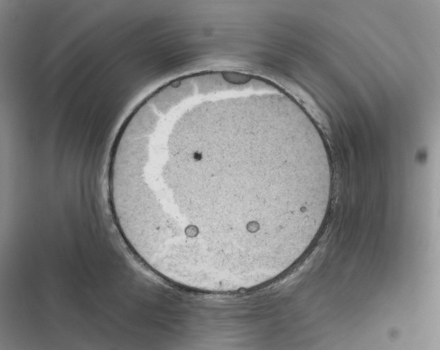 X0000116830904201001151224