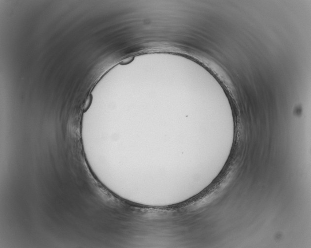 X0000116830905201001151224