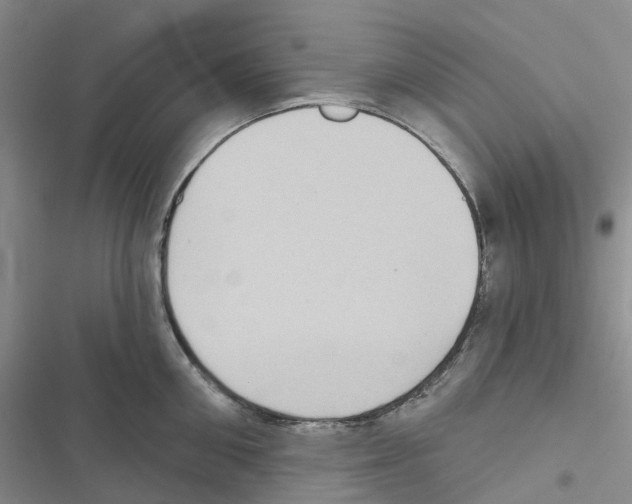 X0000116830906201001151224