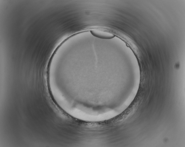 X0000116830907201001151224