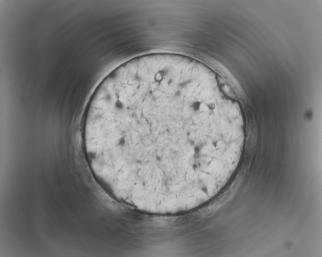 X0000116830908201001151224